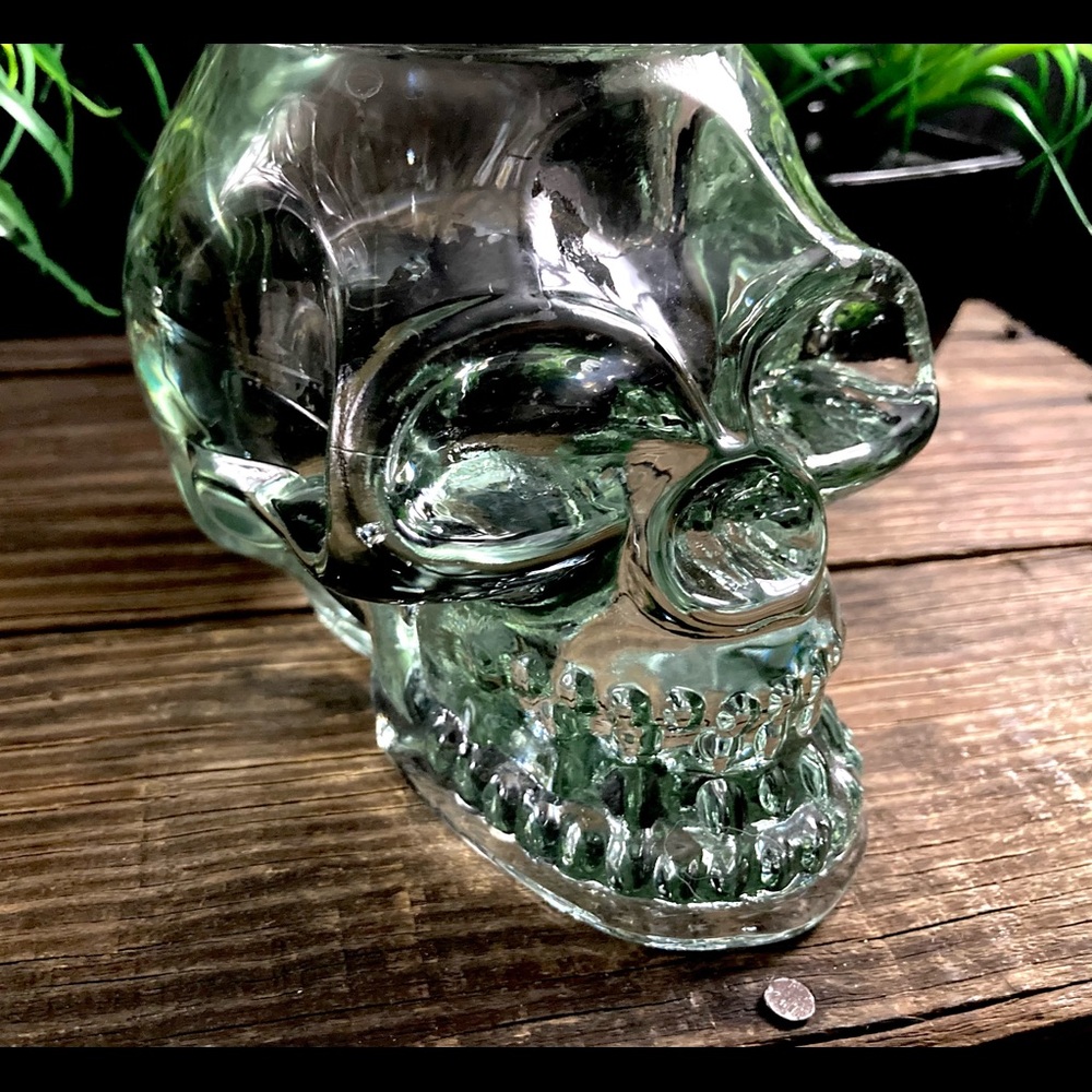 Glass Votive Crystal Skull Green Clear Glass Tea Light Holder Halloween